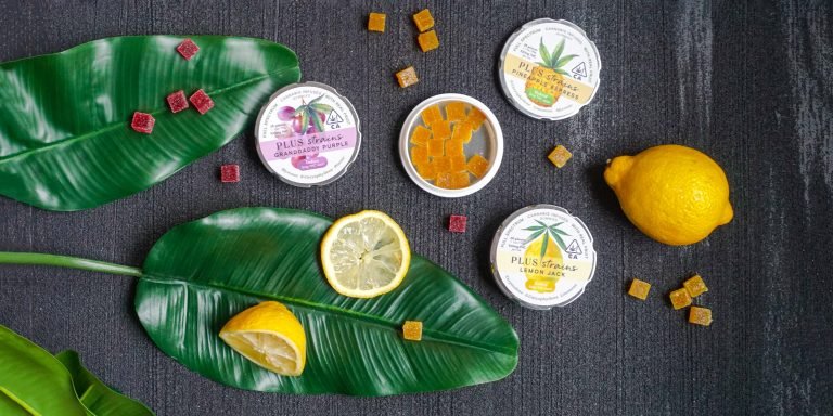 The Top Cannabis Edibles Brands You Need to Try
